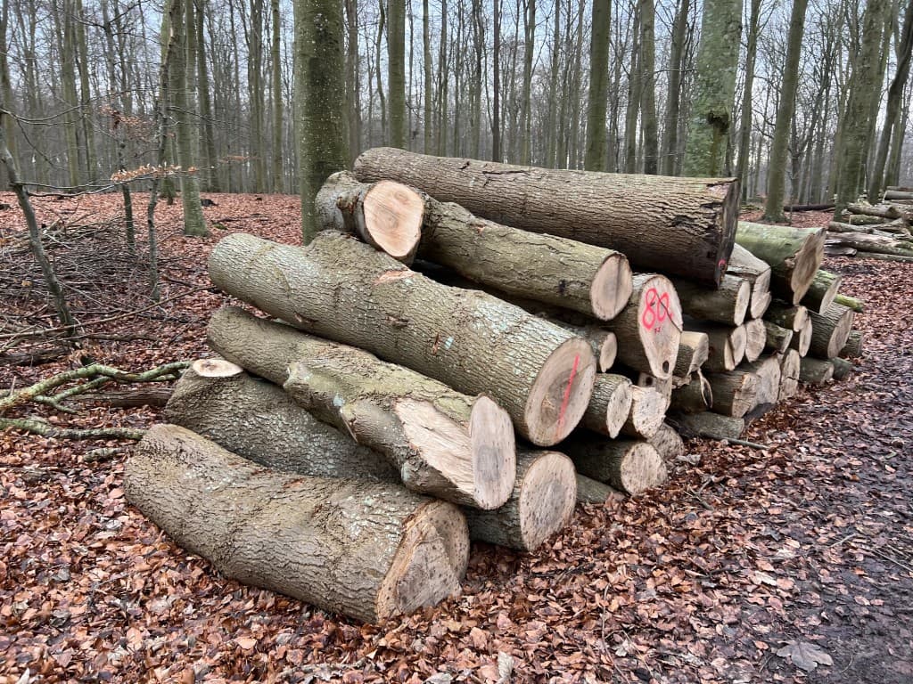 Brændestak i Brattingsborg Skov